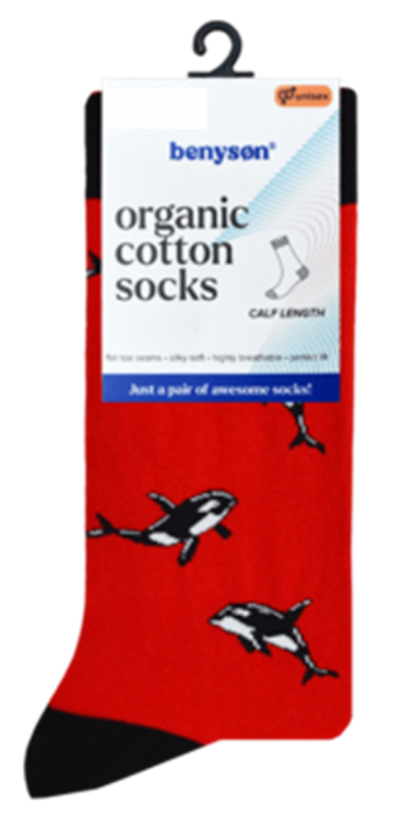 Benyson haaien 041 0