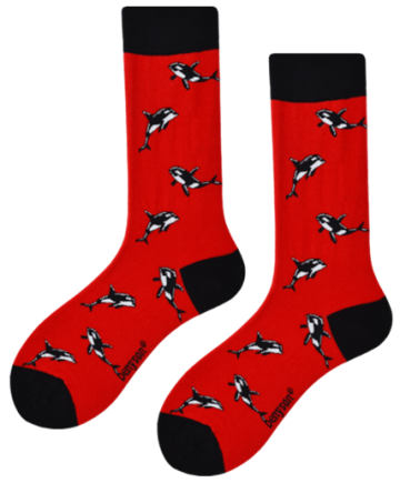 Benyson sokken haaien 041 0