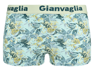 Gianvaglia  katoenen dames boxers 8806 groen