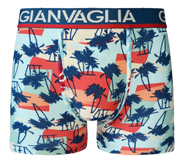 Gianvaglia deluxe 5 pack gvg 5062 heren katoenen b 3 1