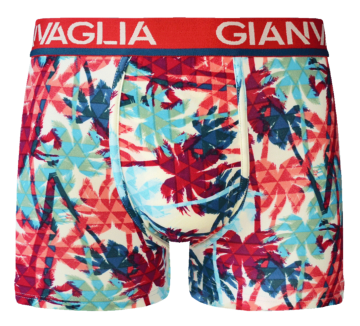 Gianvaglia deluxe 5 pack gvg 5062 heren katoenen b 4 1