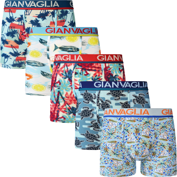 Gianvaglia deluxe 5 pack gvg 5062 heren katoenen b 6