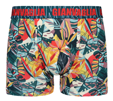 Gianvaglia deluxe 5 pack gvg 5067 heren katoenen b 2 1