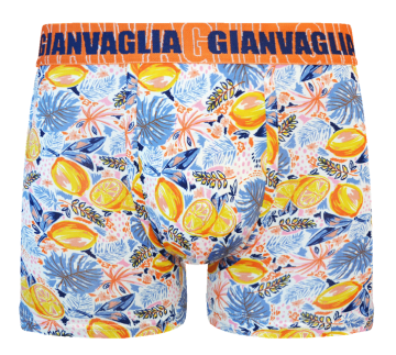 Gianvaglia deluxe 5 pack gvg 5067 heren katoenen b 3 1