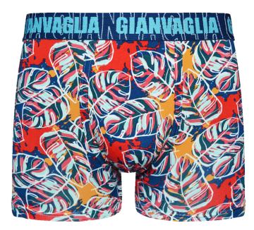 Gianvaglia deluxe 5 pack gvg 5067 heren katoenen b 5 1