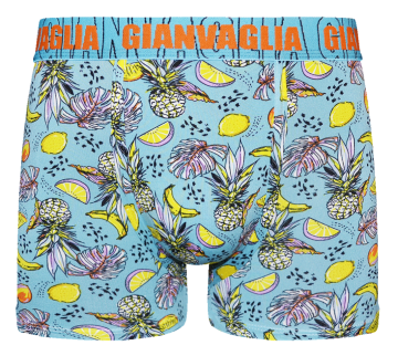 Gianvaglia deluxe 5 pack gvg 5067 heren katoenen b 6 1