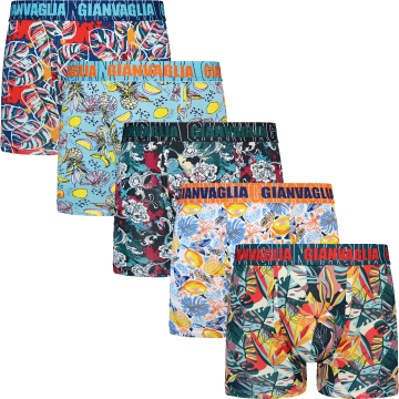 Gianvaglia deluxe 5 pack gvg 5067 heren katoenen b 8