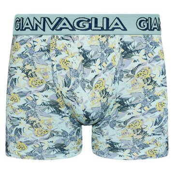 Gianvaglia heren boxershort   5081 groen
