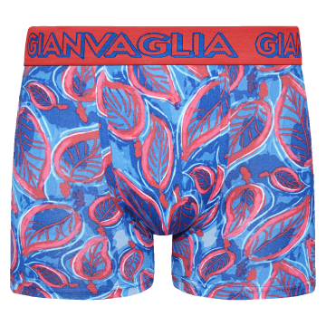 Gianvaglia heren boxershort   5081 r