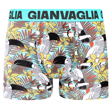 Gianvaglia heren boxershort 5082 5 2