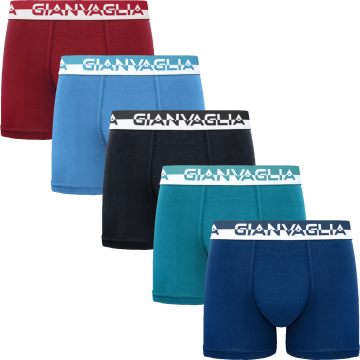 Gianvaglia heren boxershorts 5011 set b 2