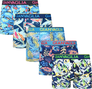 Gianvaglia heren boxershorts 5070 set b 2