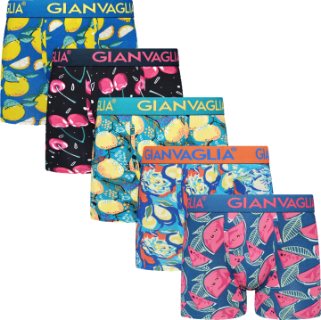 Gianvaglia heren boxershorts 5073 set b 2