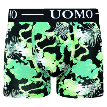 Gianvaglia heren boxershorts uomo   7503   groen 2