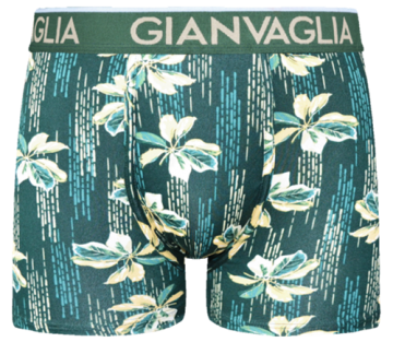 Gianvaglia katoenen boxershorts 5069 groen 2