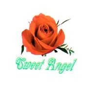 Sweet angel 12